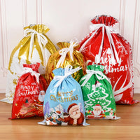 Delightful Holiday Drawstring Gift Bag™